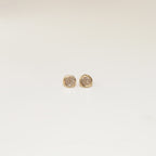 Puce d'oreilles Vénus